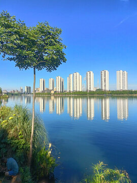 濱江豪宅