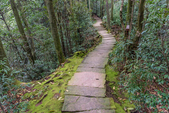 中國四川雅安蒙頂山自然風(fēng)光