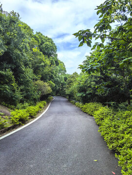 山林綠道