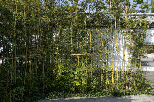 竹墻小院