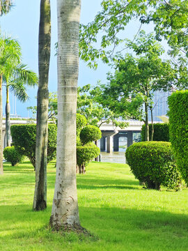 公園綠化