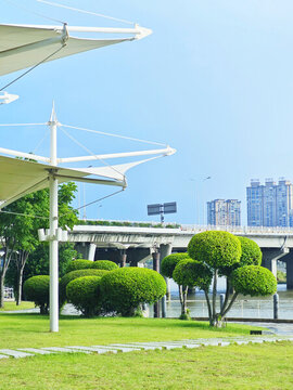 公園綠化