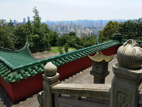頂光下的鴻恩寺公園山頂