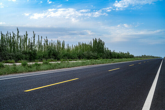 空曠筆直的公路兩旁種滿了樹