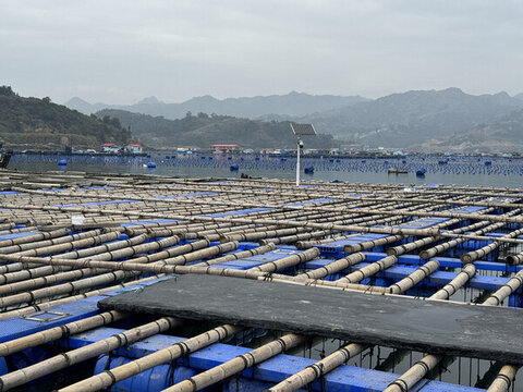 福建霞浦海參養(yǎng)殖基地