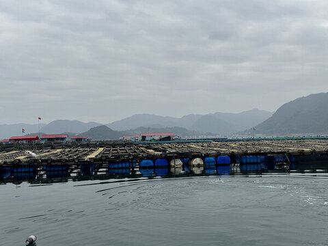 福建霞浦海參養(yǎng)殖基地