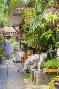 佛山南風古灶