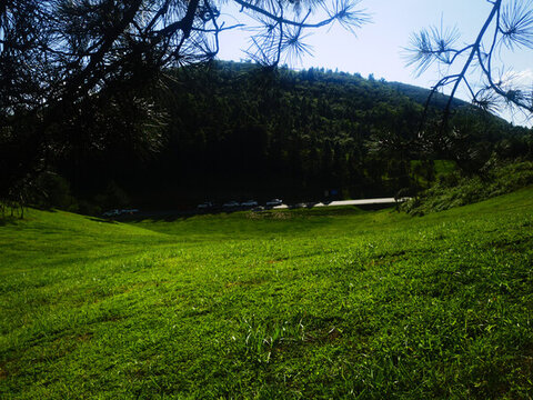 山坡草地
