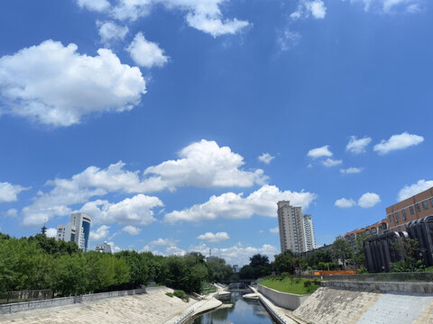 城市公園河流藍(lán)天白云