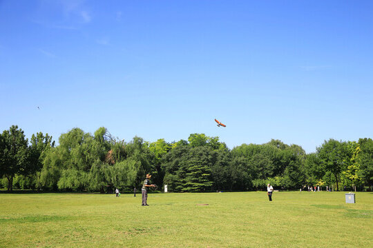 公園草坪放風箏