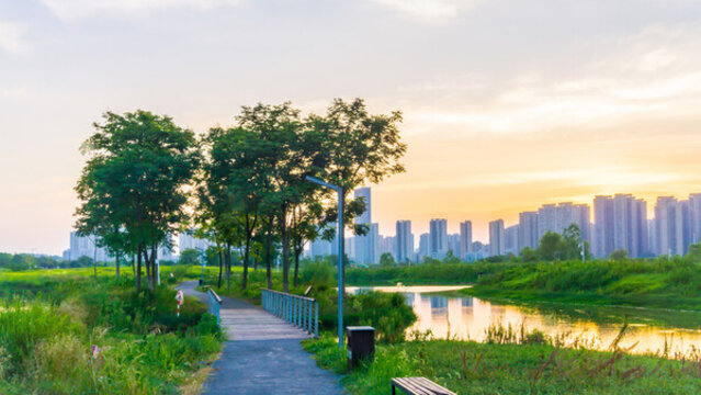 體育公園夕陽