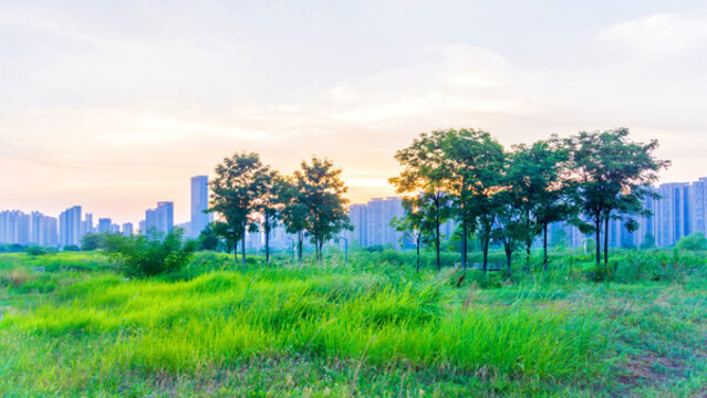 體育公園彩霞