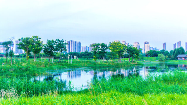 洋湖體育公園風(fēng)景