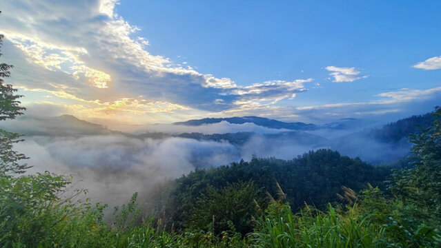 縣河風光秀景