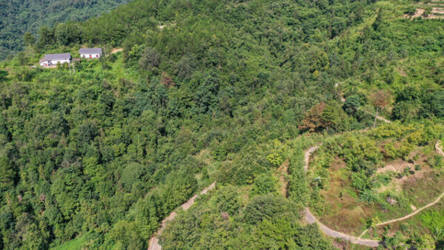 高山獨(dú)戶(hù)