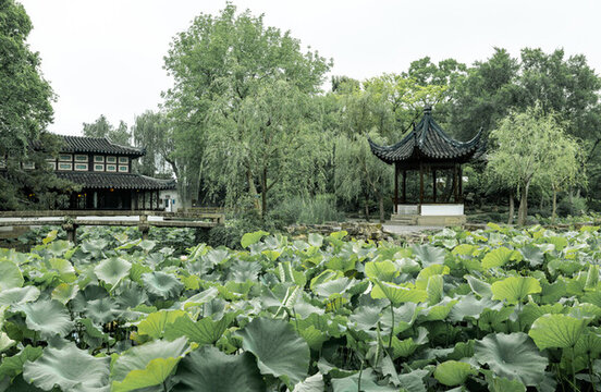拙政園
