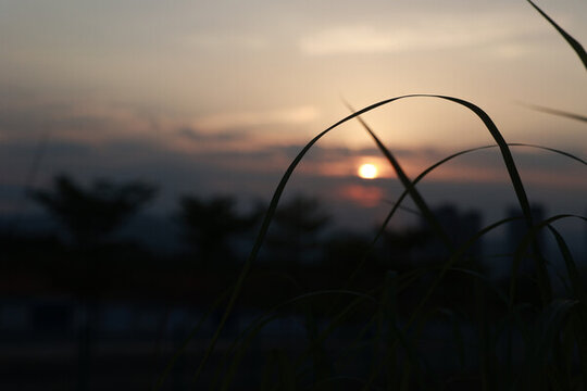 夕陽
