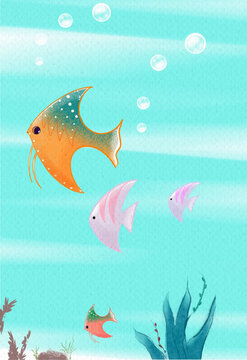 熱帶魚