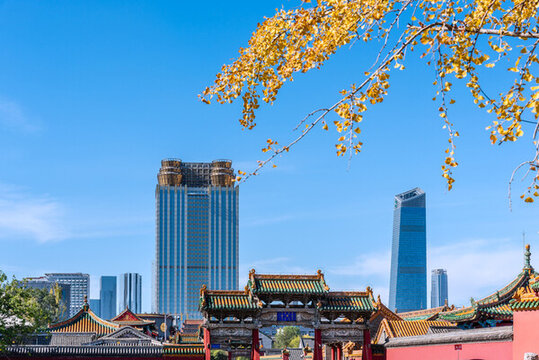 秋天中國(guó)遼寧沈陽(yáng)故宮和銀杏葉