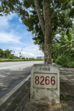 219國道