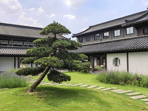 古風(fēng)建筑廣州文化館廣州旅游