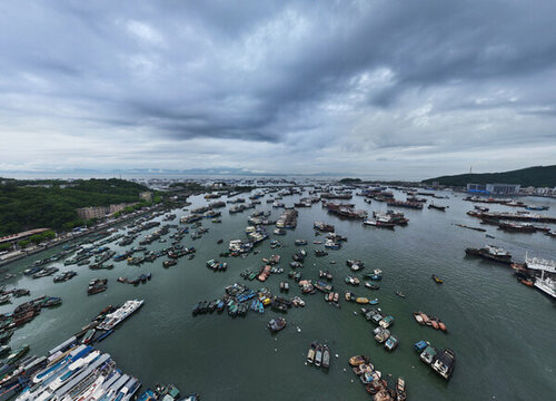 閘坡魚港