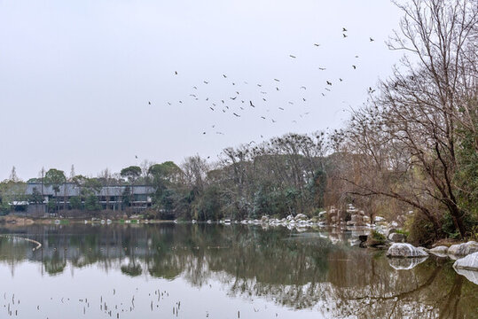 中國四川成都浣花溪公園自然風(fēng)景