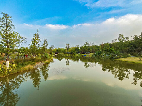 公園