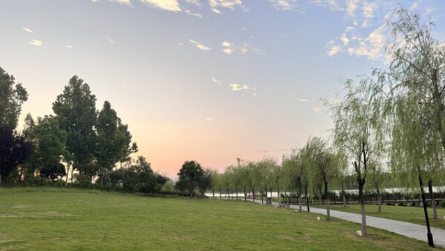 公園景色