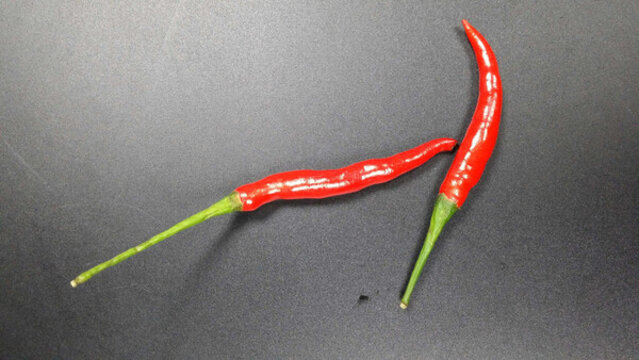 紅辣椒