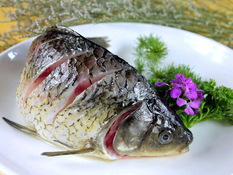 運(yùn)河野生黑魚