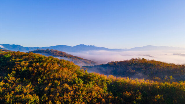山脈紅葉云霧