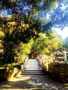 東莞人民公園