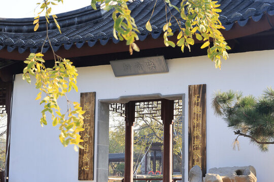 公園秋景