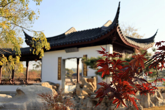 秋日公園