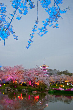 武漢櫻花園夜景