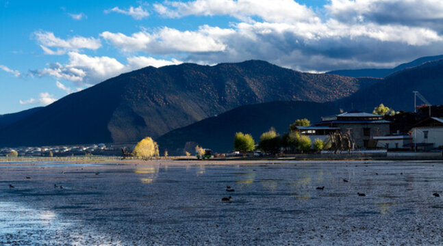 高山與湖泊間一棵發(fā)光的樹