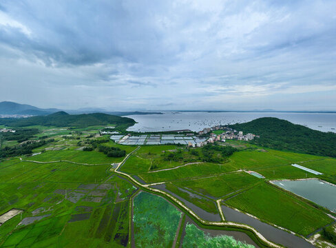 美麗鄉(xiāng)村海陵島平蘭村