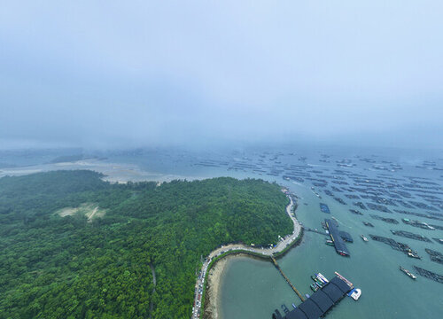 海陵島魚港