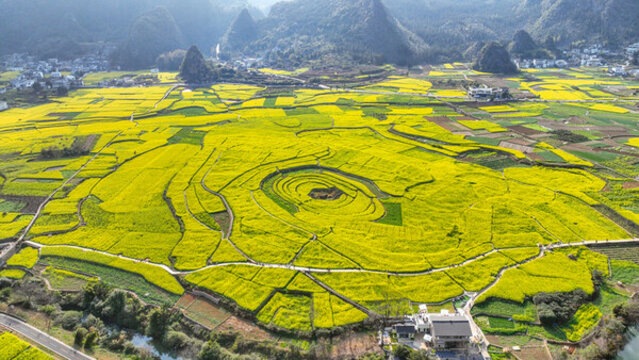 八卦田