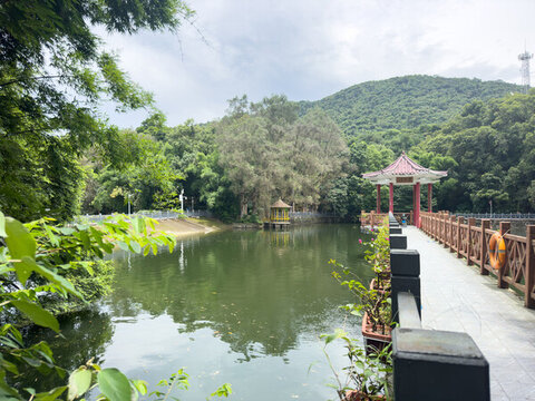 嶺湖