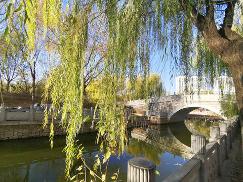 園林風(fēng)景