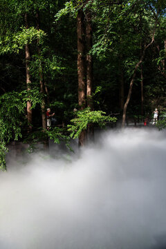北京國家植物園櫻桃溝風(fēng)景