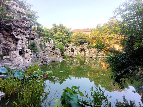 池塘