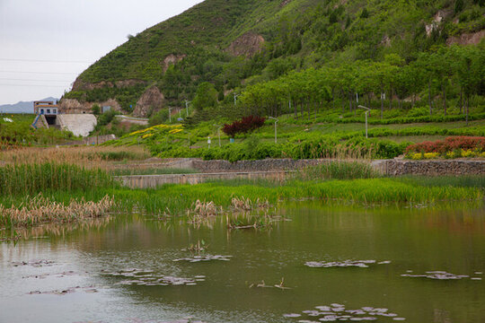 河道