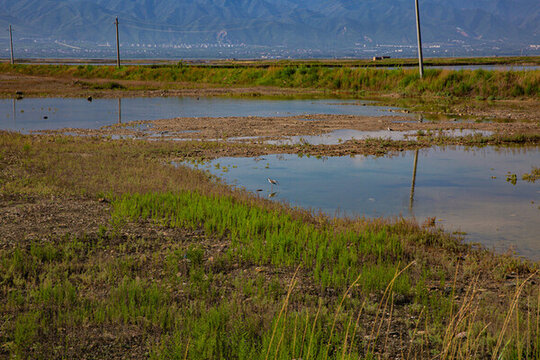 運(yùn)城鹽湖