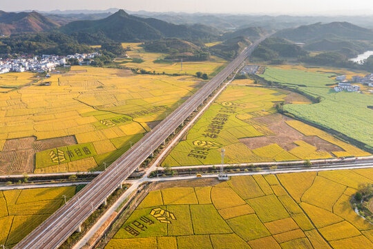賓陽(yáng)古辣稻田秋收