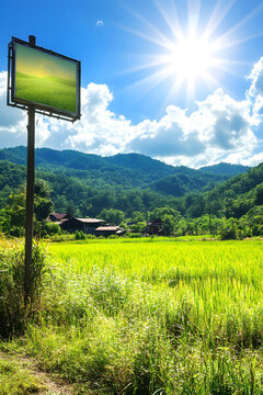 山間綠油油的稻田風(fēng)景