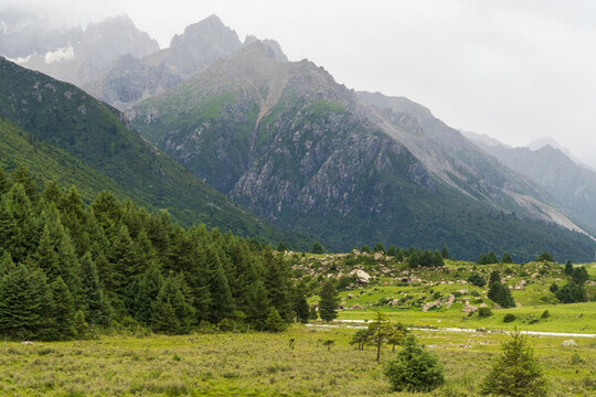 山