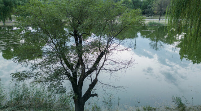 陜西西安浐灞濕地公園風(fēng)景區(qū)